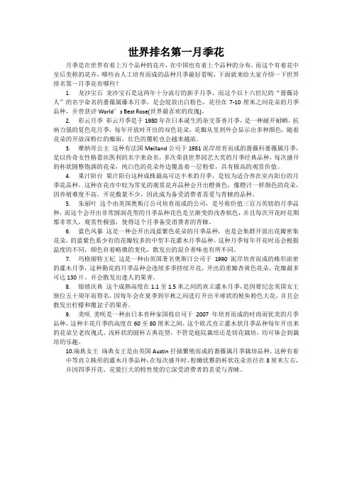 世界排名第一月季花
