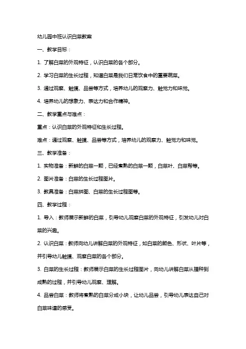 幼儿园中班认识白菜教案