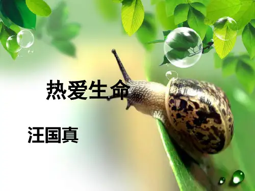 (完整)热爱生命汪国真精品PPT资料精品PPT资料