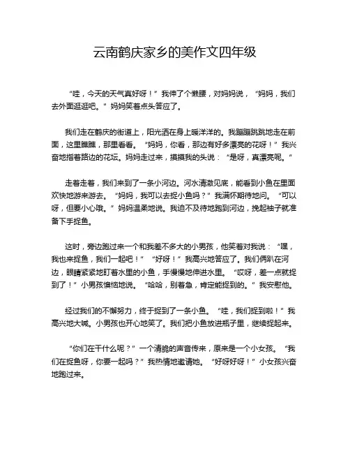 云南鹤庆家乡的美作文四年级