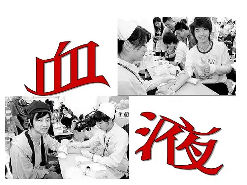 血液的组成及其功能ppt课件