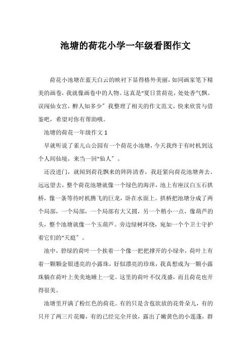 (小学一年级作文)池塘的荷花小学一年级看图作文