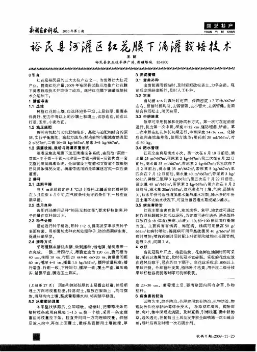 裕民县河灌区红花膜下滴灌栽培技术