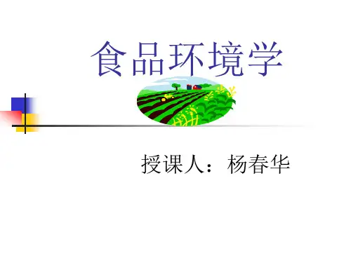 第一章   绪论