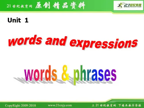 人教版高二Unit 1 Making a difference 精品课件课件