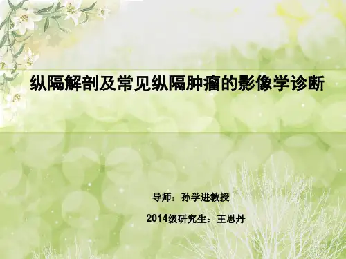 纵隔解剖及常见纵隔肿瘤影像学诊断ppt课件