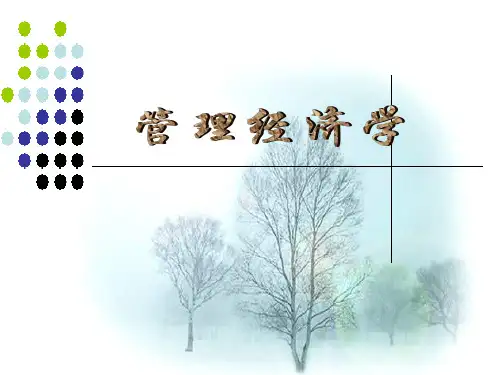 管理经济学绪论_PPT课件