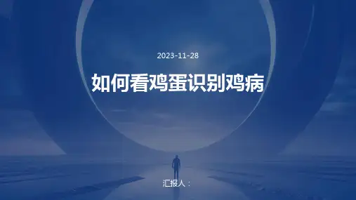 如何看鸡蛋识别鸡病
