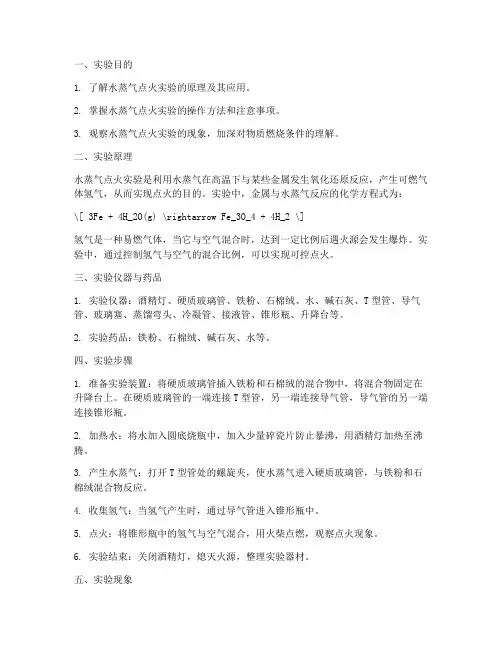 水蒸气点火实验报告