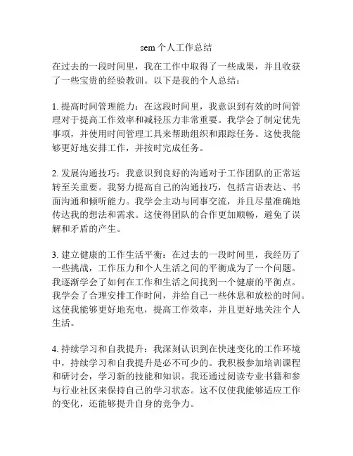 sem个人工作总结