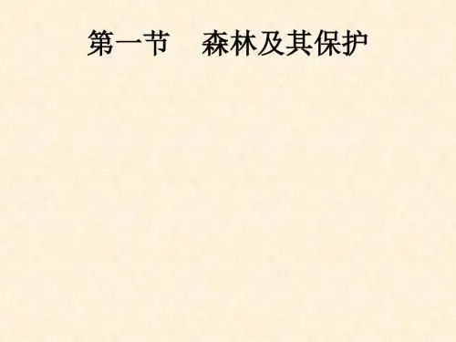 森林及其保护 PPT课件 5 人教课标版