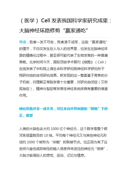 Cell发表我国科学家研究成果：大脑神经环路修剪“赢家通吃”