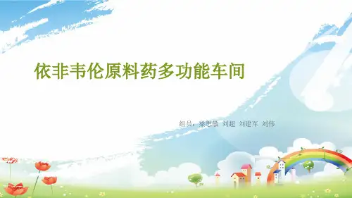 依非韦伦原料药多功能车间