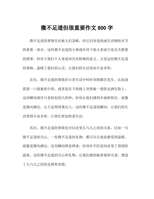 微不足道但很重要作文800字