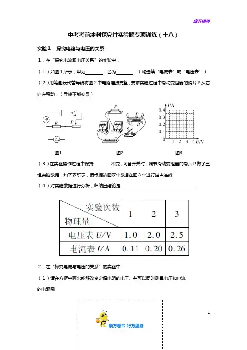 【2021中考冲刺】(18)探究性实验题【含答案解析】