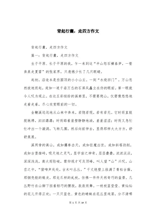 背起行囊,走四方作文