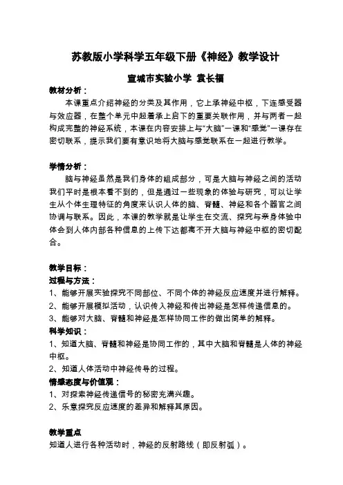 苏教版小学科学五年级下册神经教学设计