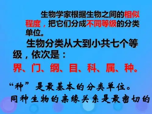 6.1.2《从种到界》课件(19张PPT)