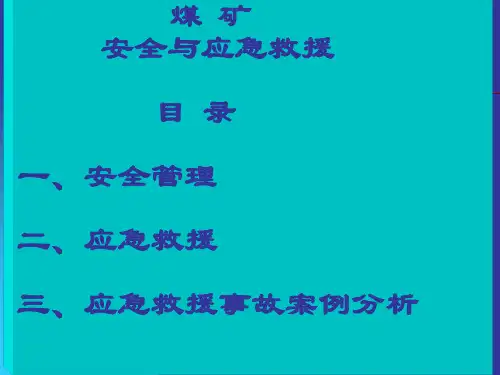 煤矿安全与应急救援典型事故案例分析