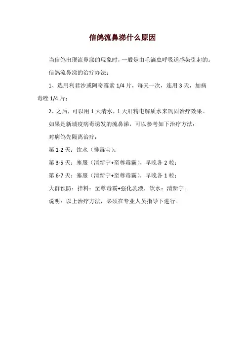 信鸽流鼻涕什么原因