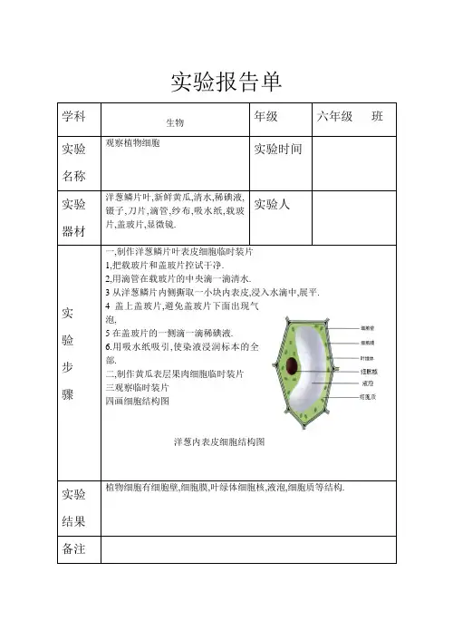 实验：用显微镜观察植物细胞