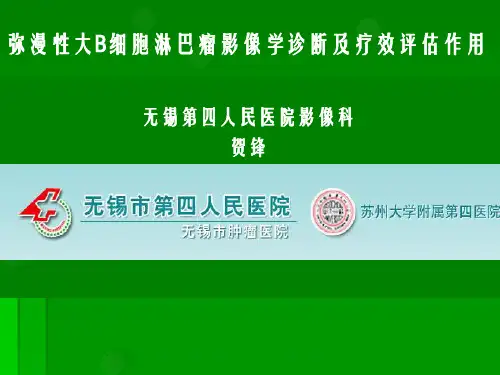 弥漫大B细胞淋巴瘤的影像学诊断与疗效评估ppt课件
