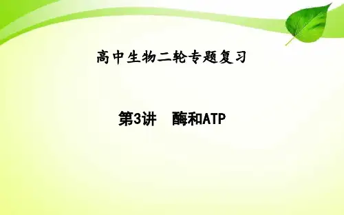 3高中生物二轮专题复习：酶和ATP