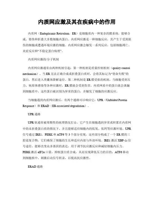 内质网应激及其在疾病中的作用
