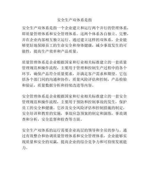 安全生产双体系是指