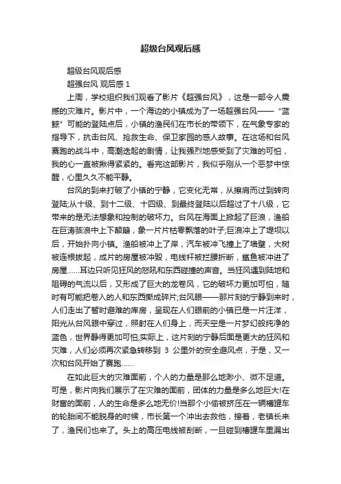 超级台风观后感