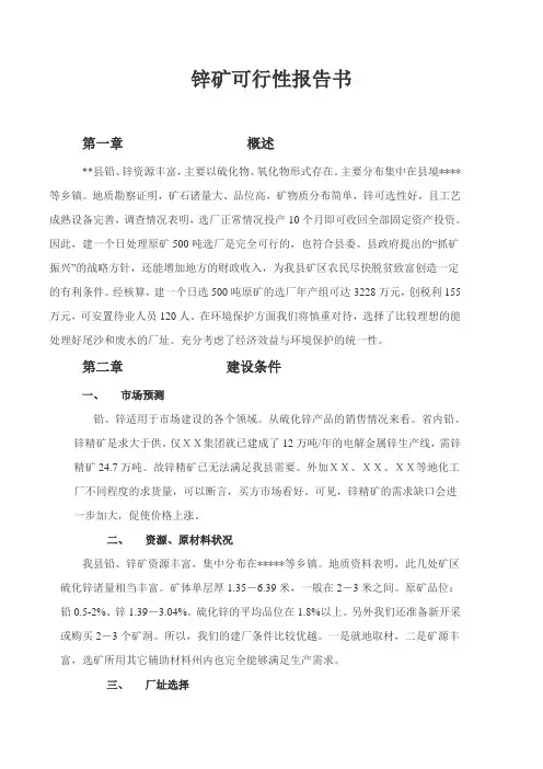 锌矿可行性报告书