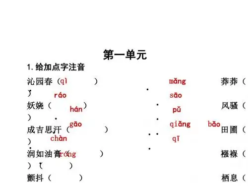 中考攻略中考语文总复习课件：9年级上册 字词