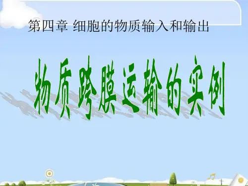 人教高中生物必修1课件：第4章第1节物质跨膜运输实例(共30张PPT)