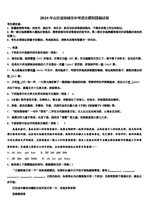 2024年山东省邹城市中考语文模拟精编试卷含解析
