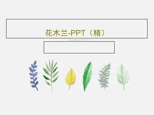 花木兰-PPT(精)共17页文档
