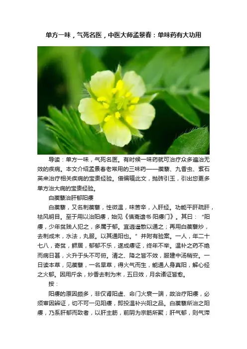 单方一味，气死名医，中医大师孟景春：单味药有大功用