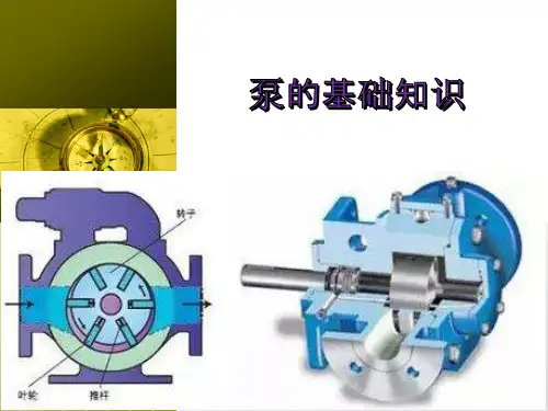 泵的基础知识课件