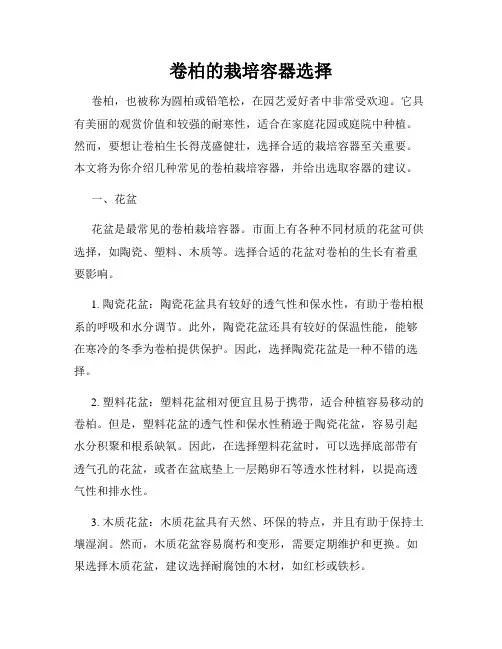 卷柏的栽培容器选择