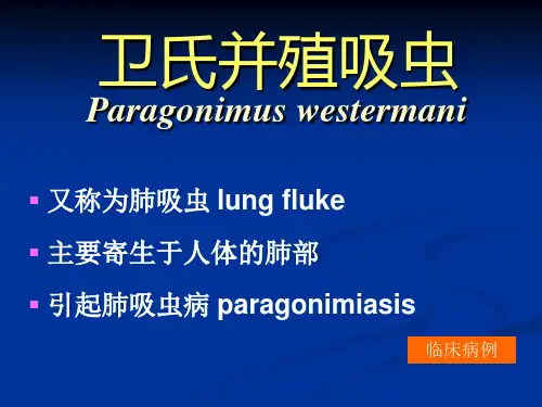 布氏姜片并殖吸虫吸虫