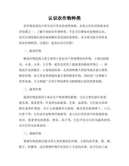 认识农作物种类