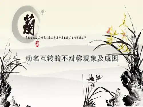 动名互转的不对称现象及成因