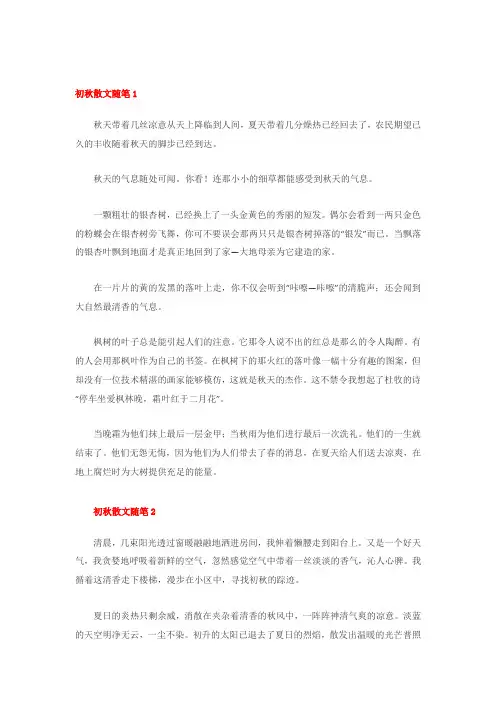 初秋散文随笔赏析