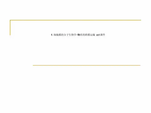 4.细胞膜的分子生物学-物质的跨膜运输 ppt课件