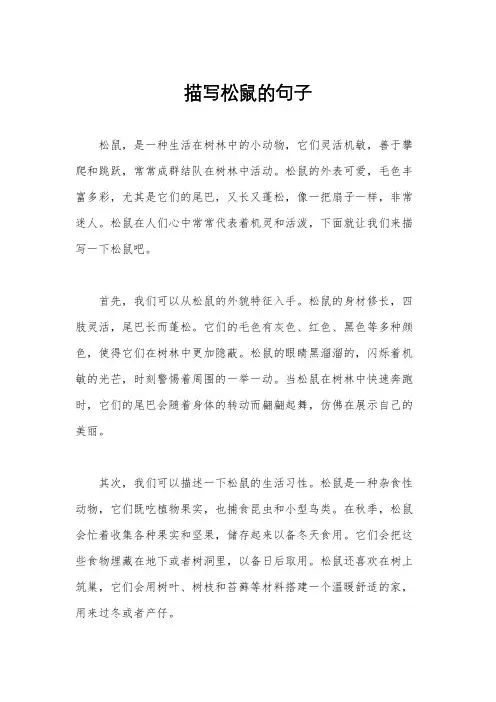 描写松鼠的句子