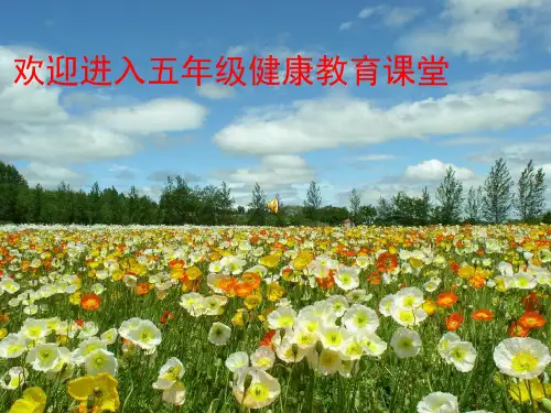 小学五年级健康教育课《青春发育期的生理变化》课件