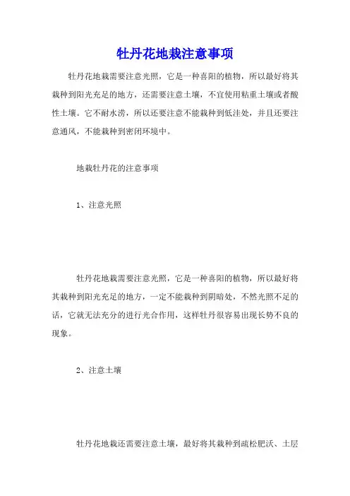 牡丹花地栽注意事项