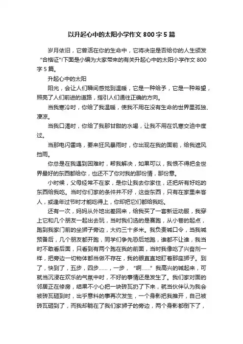 以升起心中的太阳小学作文800字5篇