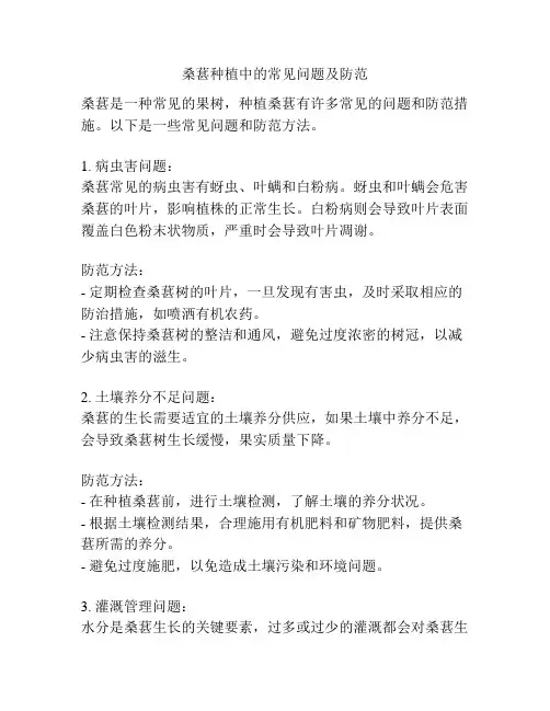 桑葚种植中的常见问题及防范