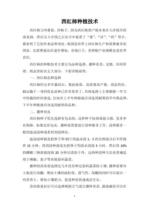 西红柿种植技术