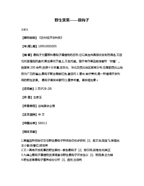 野生浆果——悬钩子